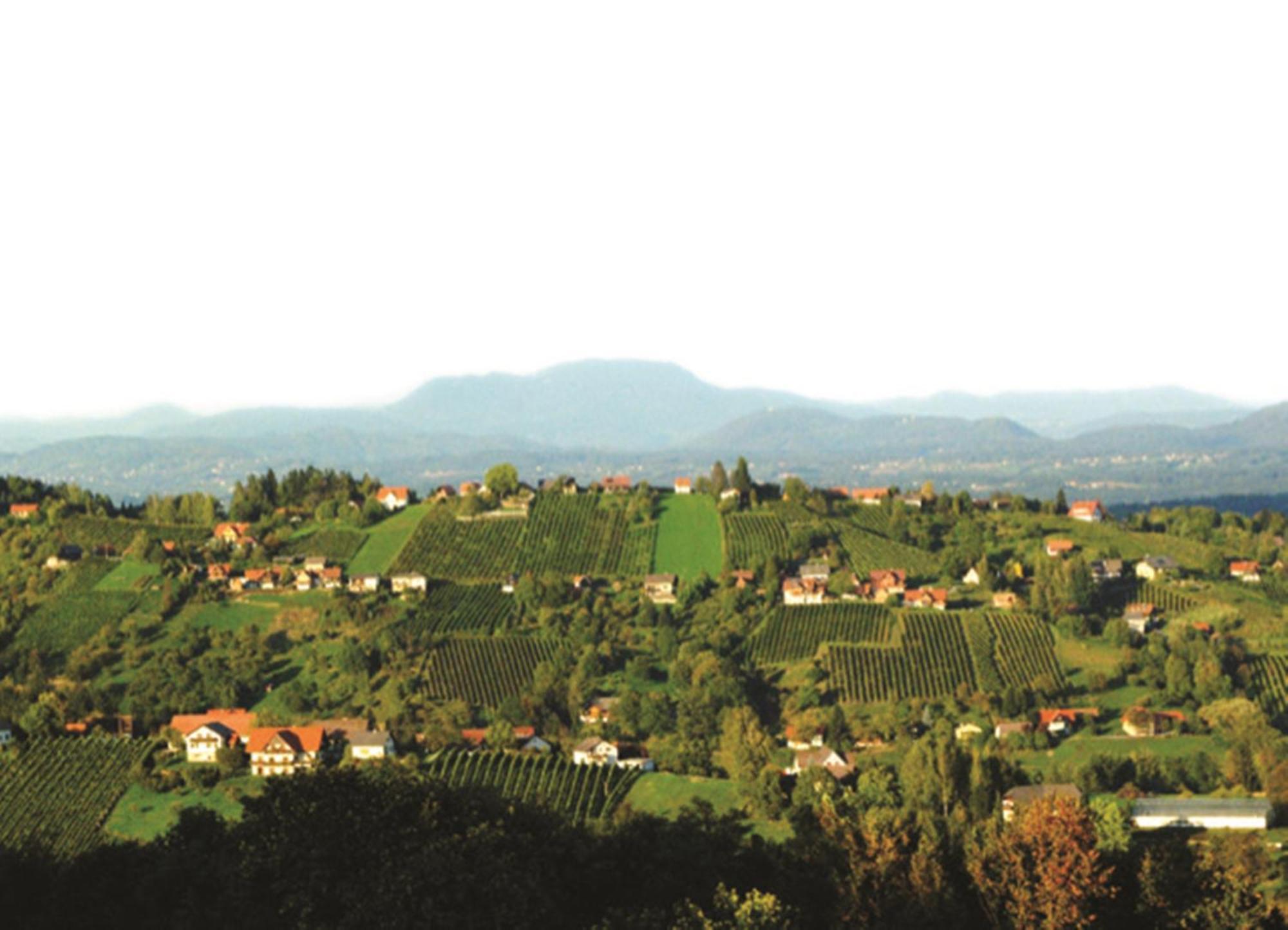 Hotel Stainzerhof Dış mekan fotoğraf